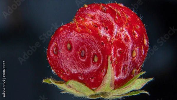 Obraz Makro einer Erdbeere