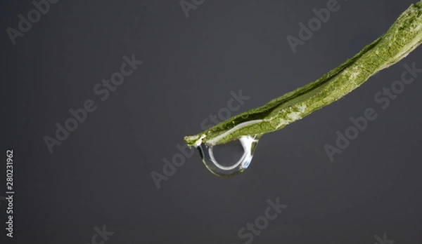 Obraz Wassertropfen auf einem Blatt in Makro