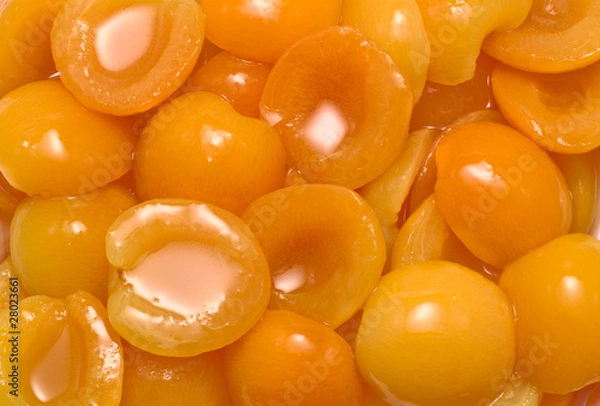 Obraz apricot