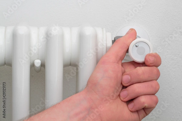 Obraz radiatore orizzontale