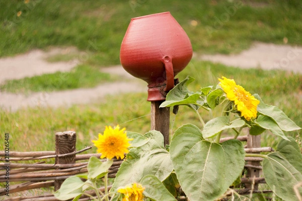 Obraz sunflower seeds