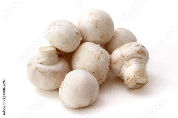 Fototapeta Champignons