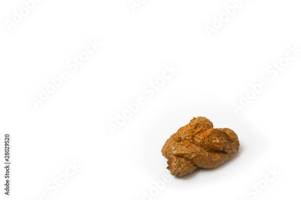 Obraz crotte de chien