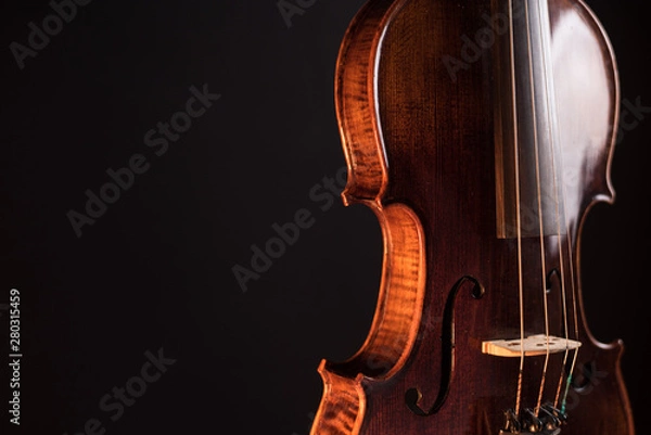Obraz Violino 3