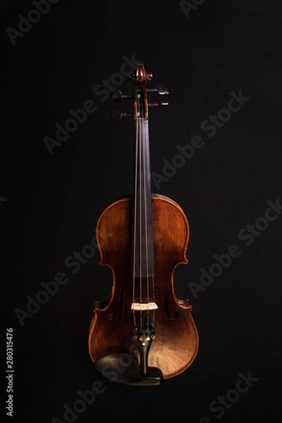 Obraz Violino 2