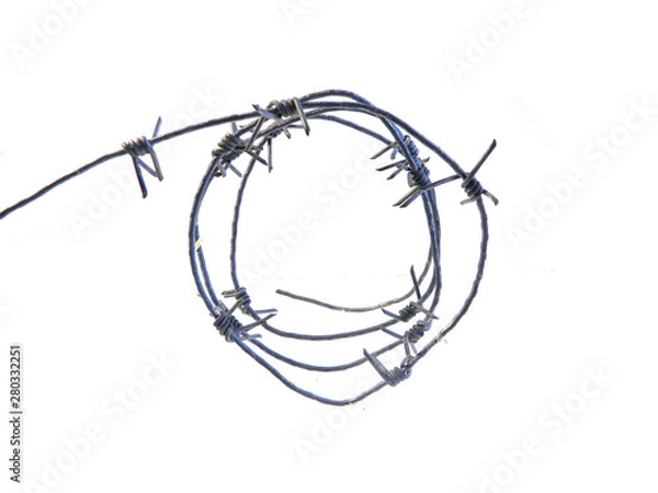 Obraz barbed wire isolated on white background
