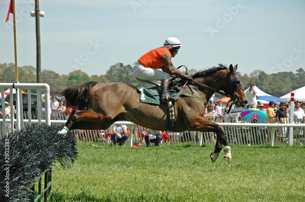 Obraz clearing the jump 2