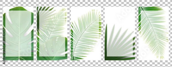 Fototapeta Set of social media templates for stories (16:9) with green tropical leaves of different palms and monstera. Vector EPS 10.