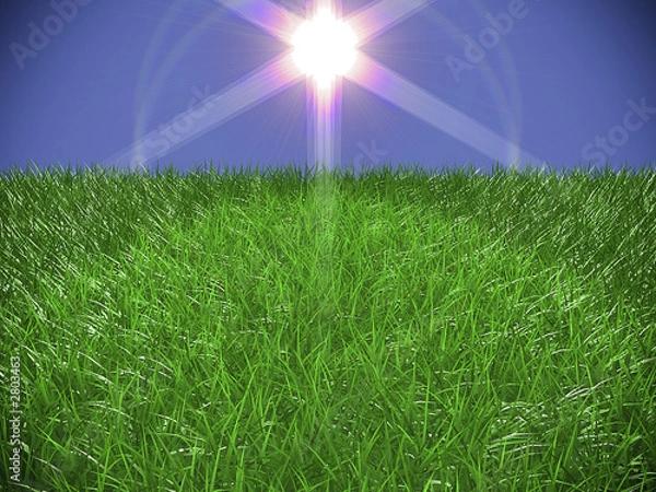 Obraz fine grass with flare light effect
