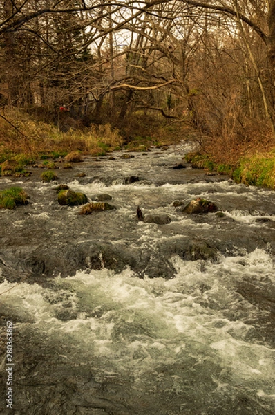 Fototapeta 野鳥の森　秋