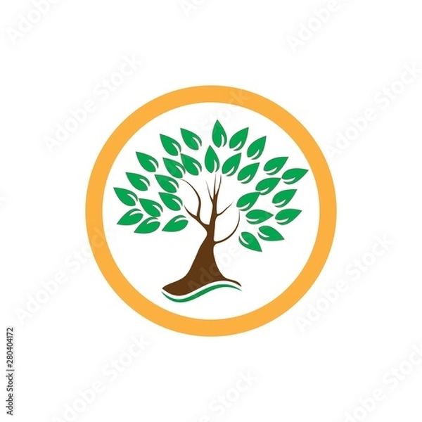 Fototapeta Tree logo template vector illustration