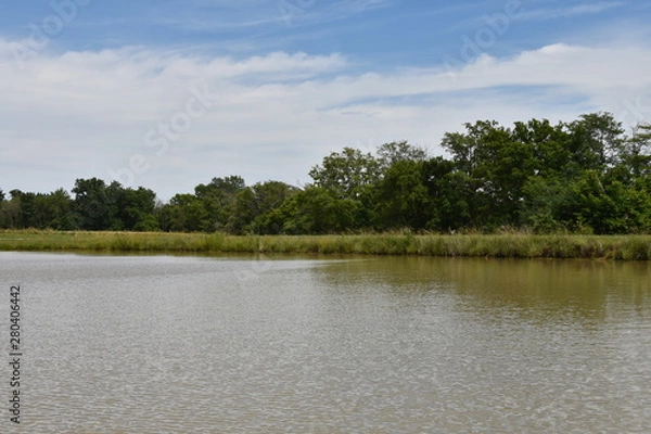 Fototapeta landscape with river