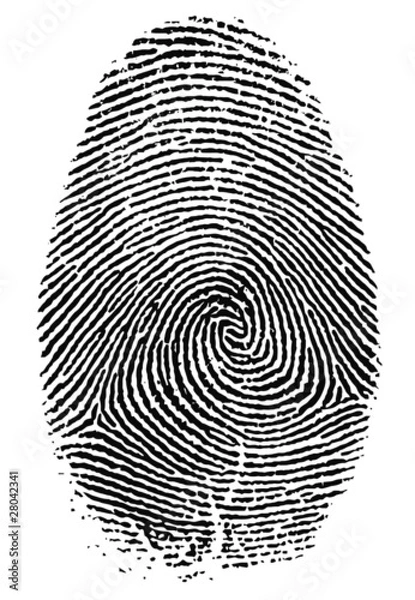 Fototapeta Fingerprint - Impronta digitale