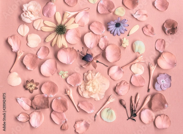 Obraz floral pattern