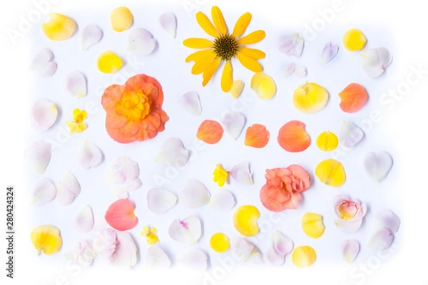 Obraz floral pattern light