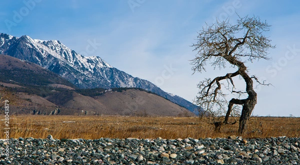 Fototapeta Baikal, cape Dug