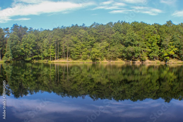 Obraz lake in deep forest