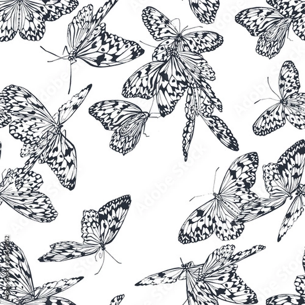 Obraz Butterfly seamless pattern