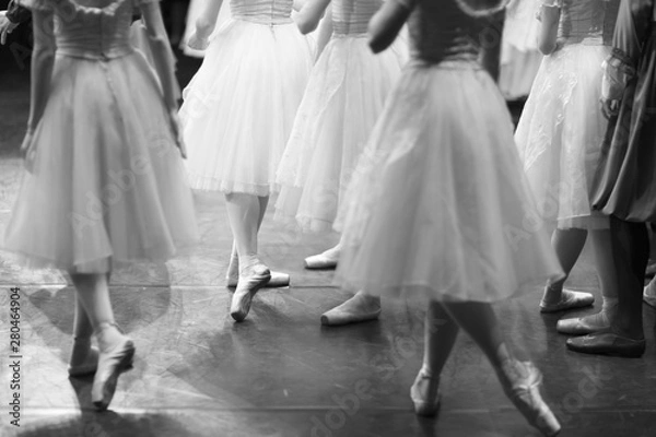 Fototapeta Corps de ballet actresses in the theater rehearsal hall in costumes and pointe