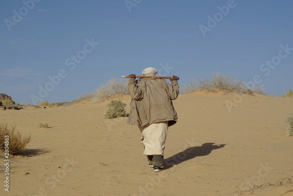 Fototapeta guide touareg avec bâton