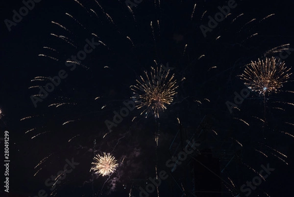 Fototapeta fireworks in the sky. fireworks on the black sky. closeup