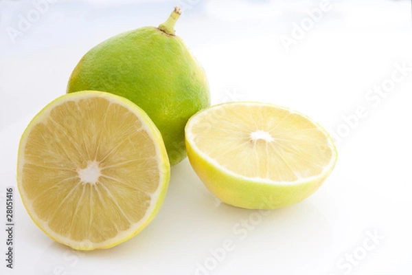 Obraz Bergamot