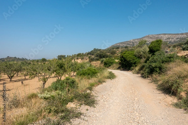 Obraz The august road between Sant mateu and Tortosa