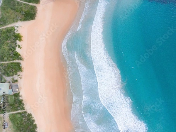 Obraz Freshwater in its beauty