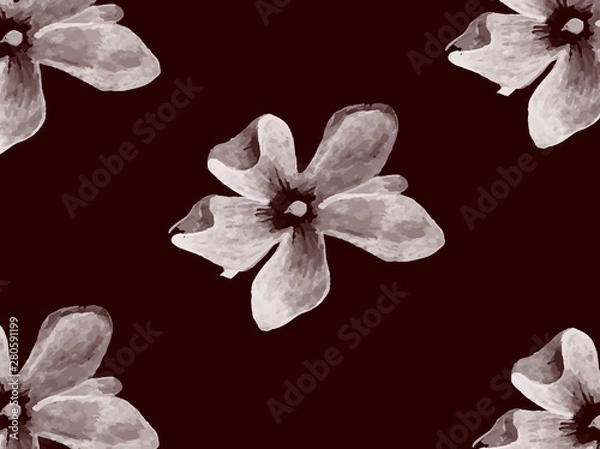 Obraz white flowers on a black background