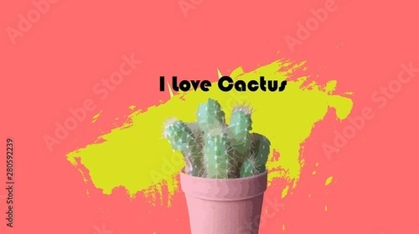 Obraz cactus on pink background