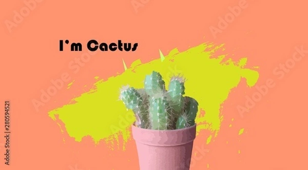 Fototapeta cactus on pink background
