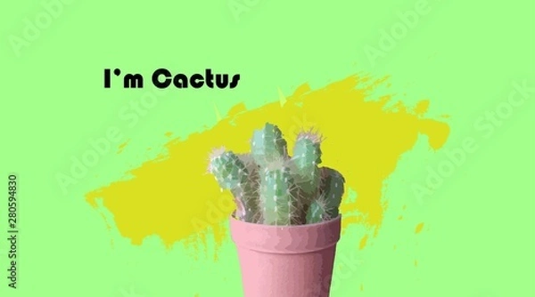 Fototapeta cactus on green background