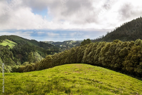 Fototapeta View of tree line go through green hills to atlantic ocean. Beautiful mountains on the Sao Miguel island, Azores