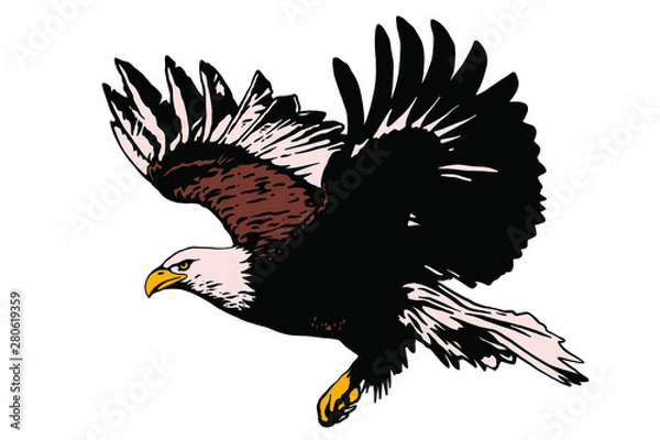 Obraz Vector bird. Eagle illustration. Good for logos and posters.
