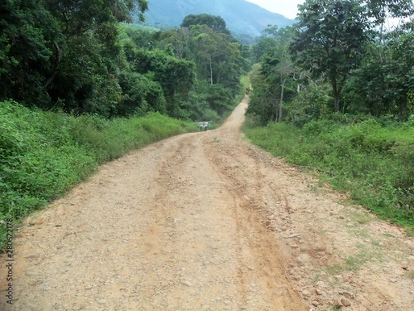Obraz road