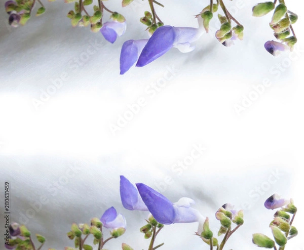 Obraz Flower´s Background