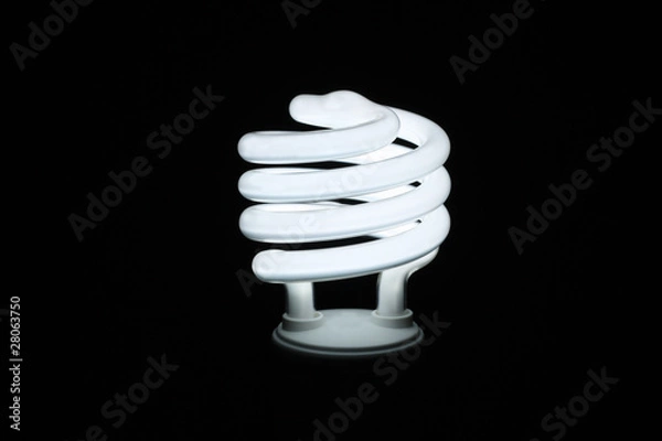 Obraz Fluorescent lightbulb