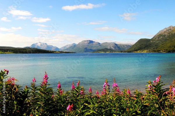 Fototapeta quiet place