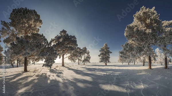 Fototapeta winter sleep