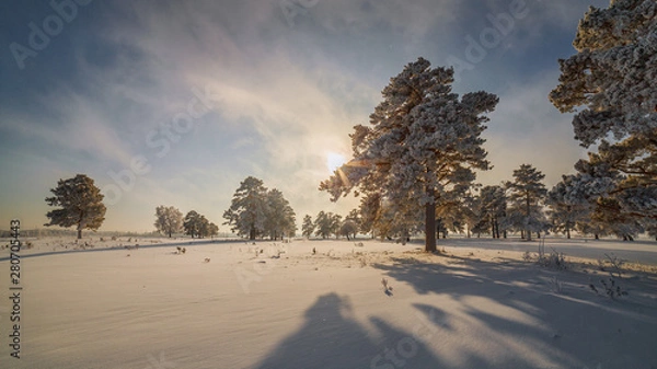Fototapeta Shadows on the snow