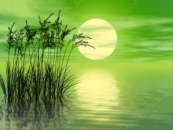 Obraz trawa_zachód słońca_mid_a