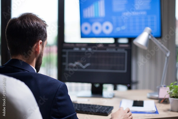 Fototapeta Back view of young entrepreneur analysing the data from computer monitor in his office