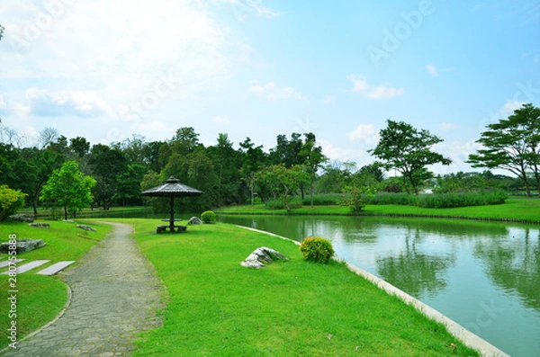 Obraz Parks on hot days