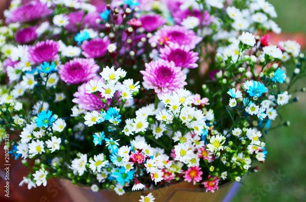 Fototapeta Summer flowers Colorful