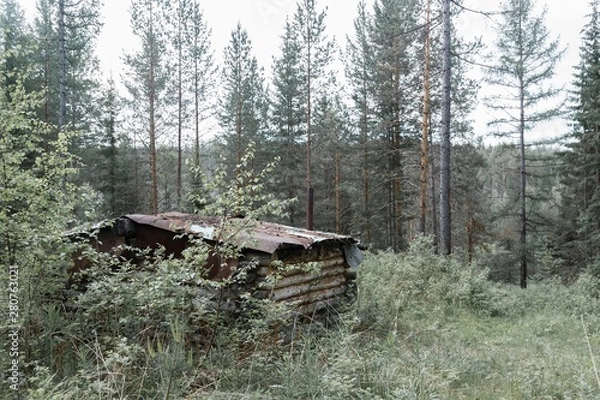 Fototapeta Природа УРАЛА