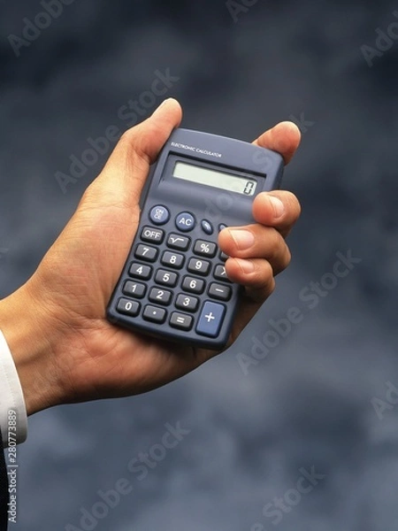 Obraz hand with calculator