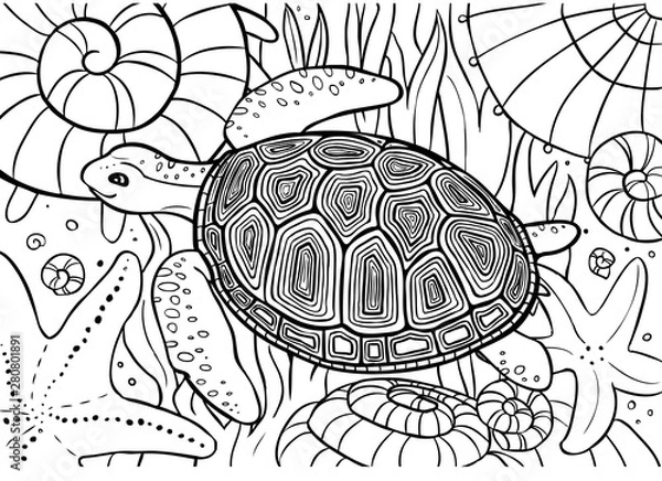 Fototapeta Turtle swim, coloring page with shells, starfish and seaweed