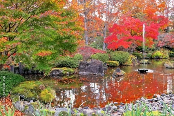Fototapeta 紅葉の日本庭園