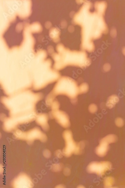 Obraz Orange painted surface on which reflects a fancy shadow of grape leaves and sun glare, background, texture, concept of a summer day