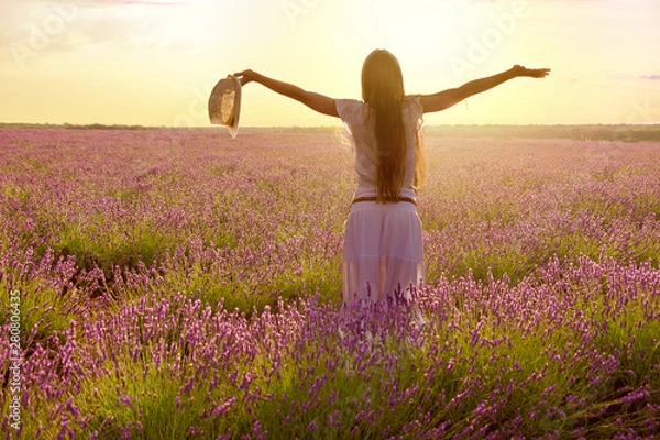 Obraz beautiful woman backwards with a hat into purple lavender fields during a summer sunset - Back Light Image